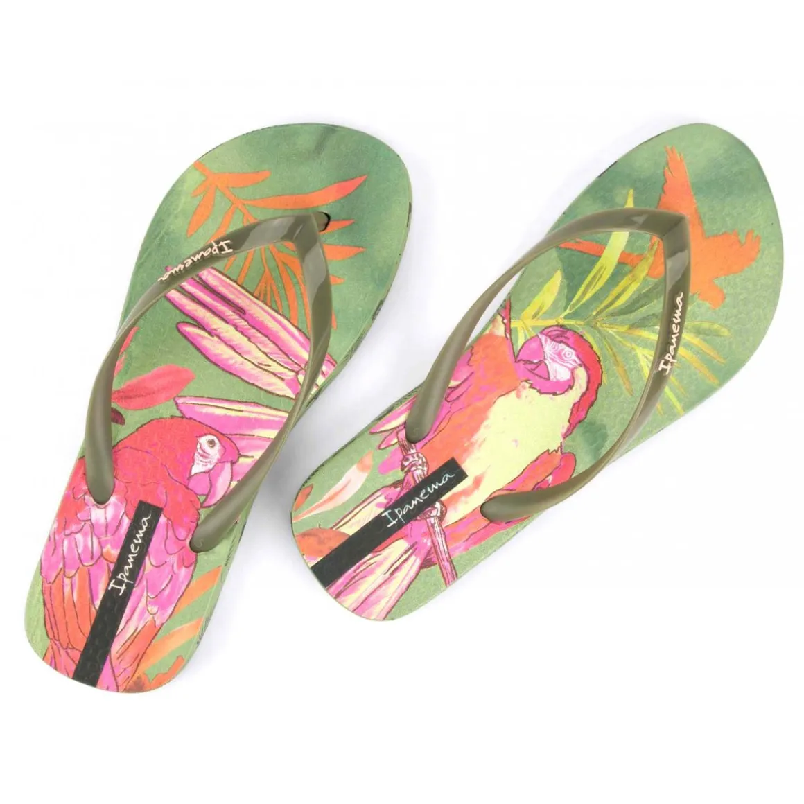 Ipanema Sem Igual Donna